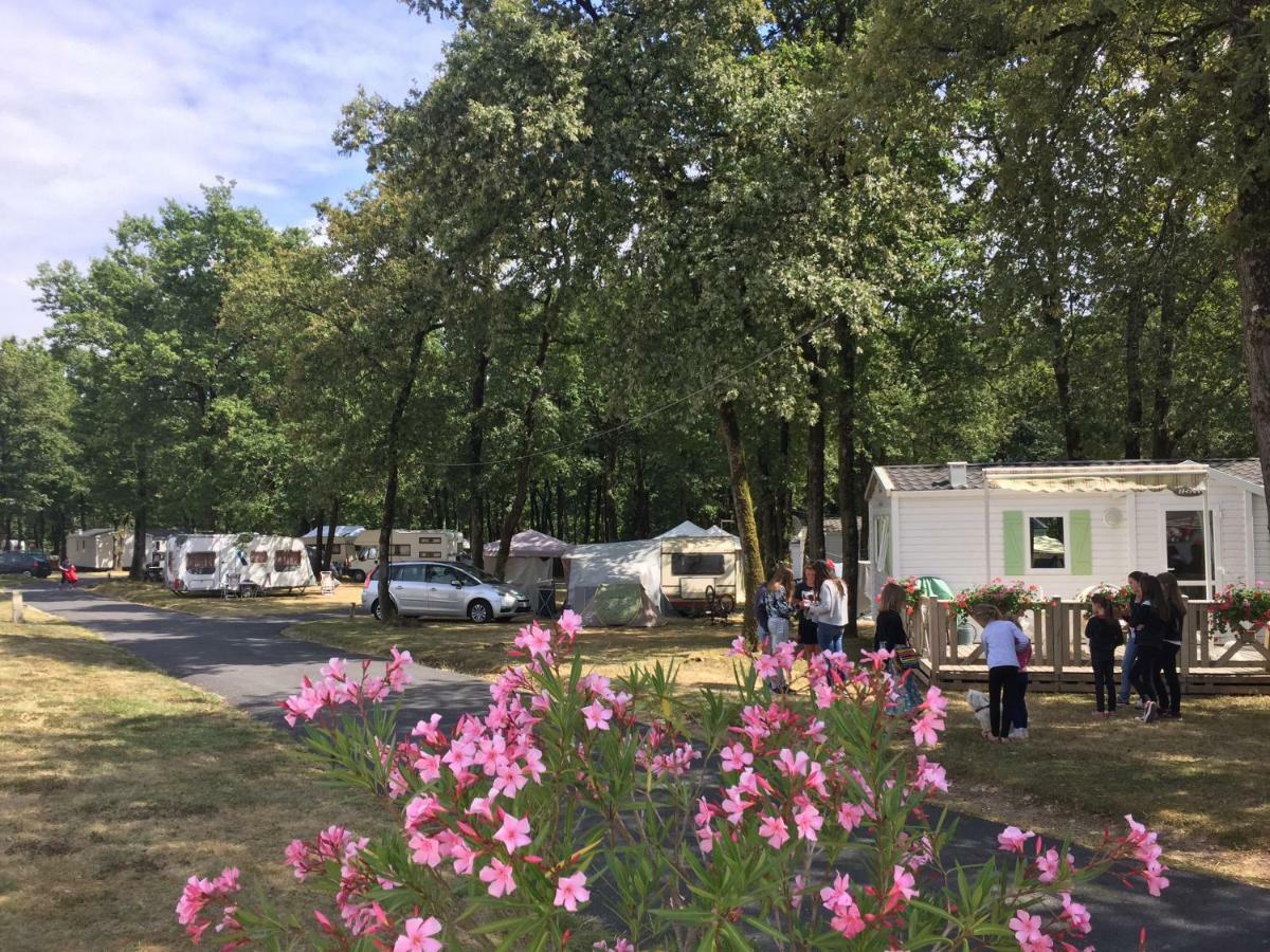 Camping Les petites Minaudières Hotel Saint-Sauveur  Esterno foto